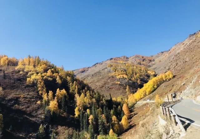 彩礼|“亲爱的,我妈不要30万的彩礼了,回来吧”“对不起,我结婚了”