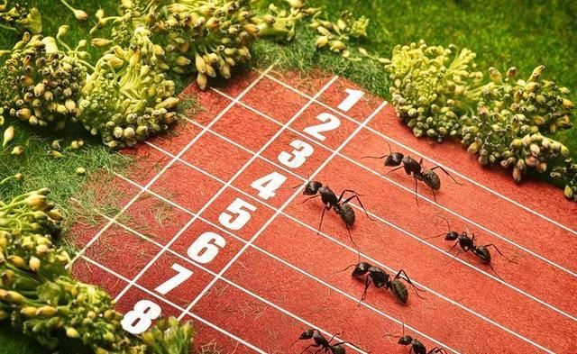  院校|填报志愿时学校重要，还是专业重要？网友说，将来你不后悔最重要