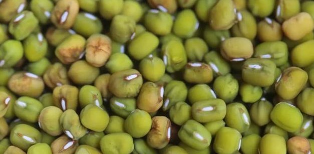  家里|家里的绿豆直接熬粥等于浪费，多加1步，5块钱做成吃不起的样子