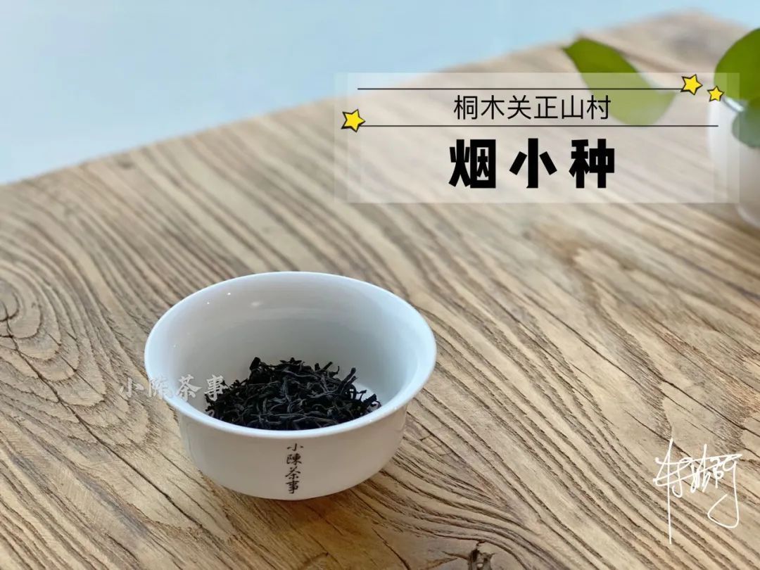 传统|从老丛红茶、烟小种到花香小种，这款红茶代表了传统小种的定义