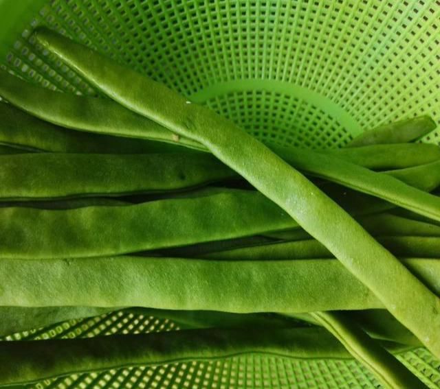  入秋|入秋后，遇到此菜别手软，营养丰富，我家每周吃3次，次次光盘