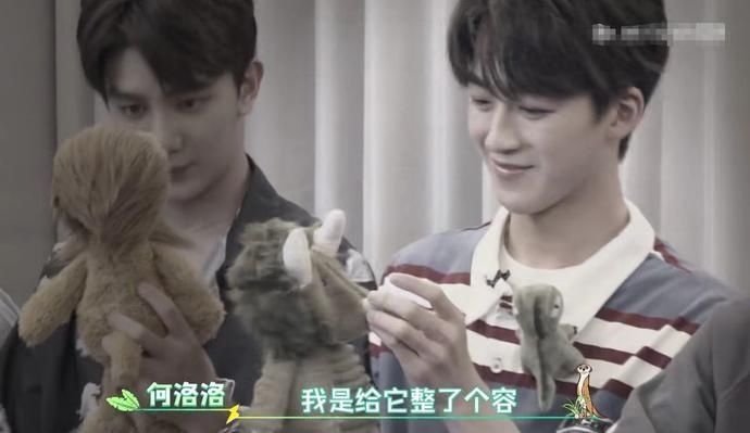  吓到|R1SE小团综：何洛洛给羊驼剪毛吓到周震南，任豪气场压制河马