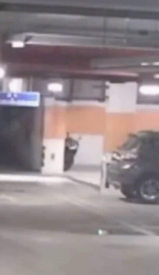  卖钱|奇葩！两人偷车不卖钱，只为“骑着玩”……