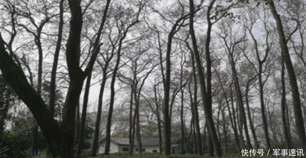  武器|硝烟四起的战场嚼口香糖？狙击手：这是我们的救命武器