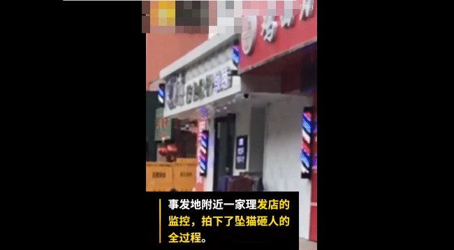  次日|好心提供高空坠猫砸人视频, 次日却被报复, 网友: 凶手真愚蠢!