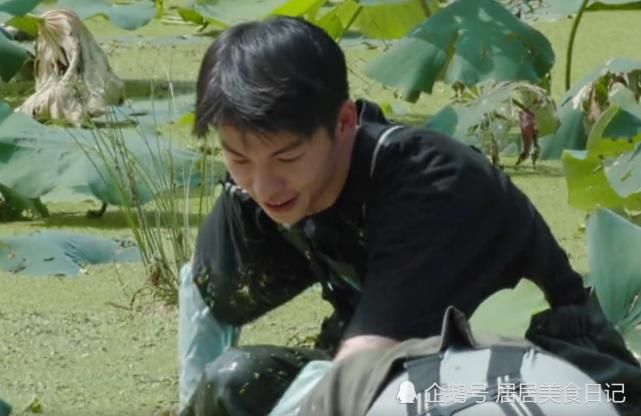  打扰|《向往4》挖藕被曝做戏！这次连节目组都穿帮？镜头拉远：打扰了！