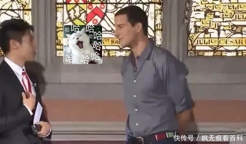 担心|贝爷上节目撒贝宁担心被他吃掉,他随后说的话笑喷了,可爱