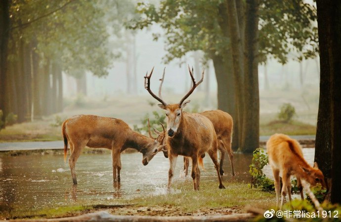  接地|“颜值高”“有内涵”“接地气”……打卡盐城，你想到了什么？