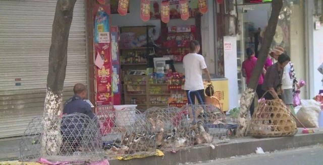 农历七|鸭鸭今天“爆红”环江！中元节你吃什么“鸭”？