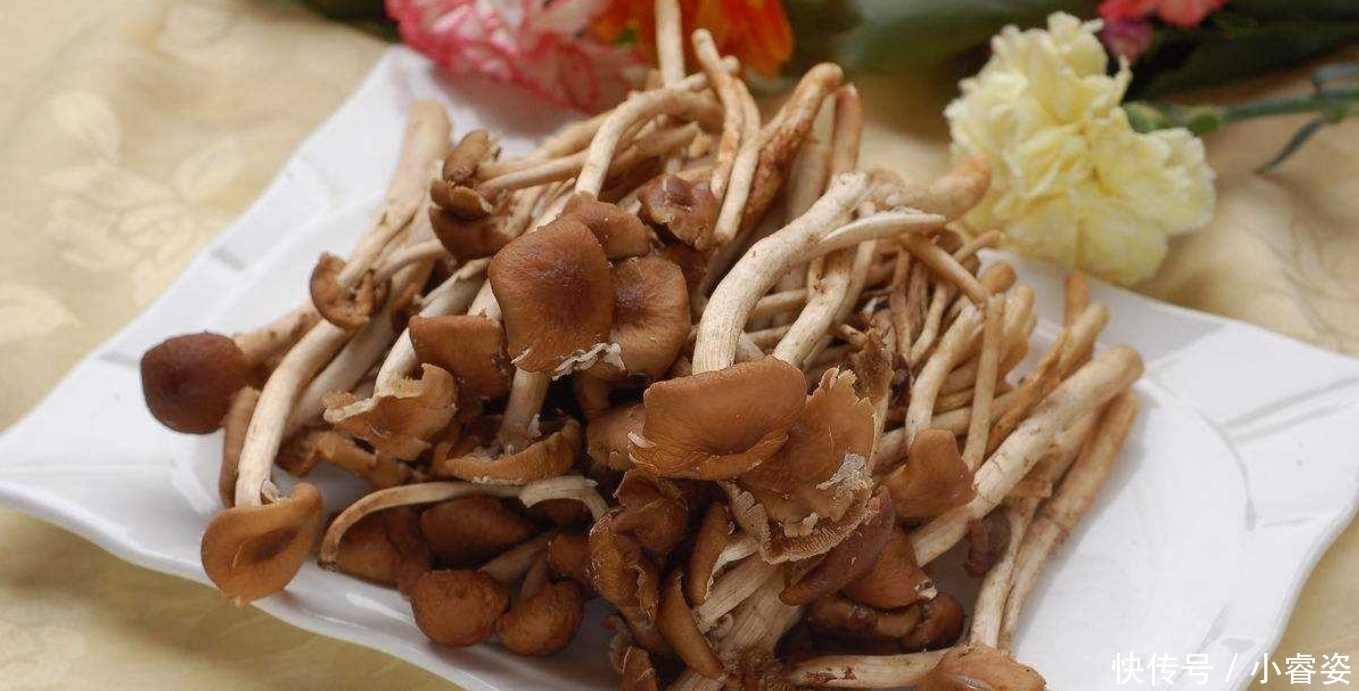 做法|茶树菇最好吃的5种做法,每一种都简单美味,好吃极了