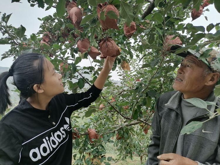 沂源|视频︱沂源偏远小山村19岁听障女孩编排舞蹈为家乡苹果打CALL