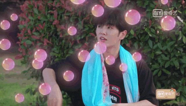  收留|这档节目，才是真正收留心碎秀粉的节目