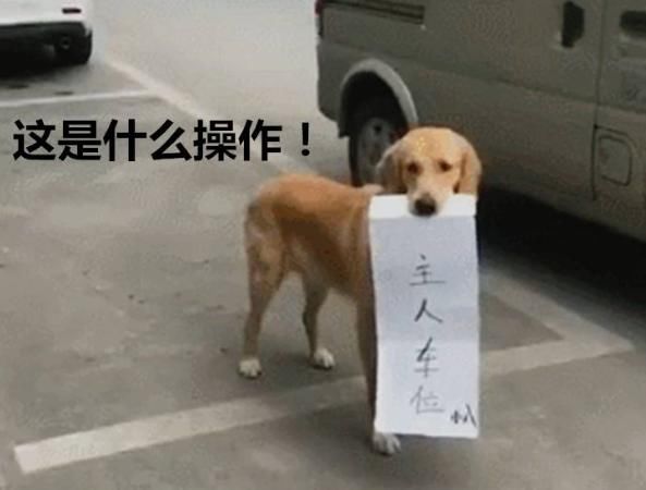  下一|为占车位小伙拼了，烈日下一蹲就是3小时，网友：不丢人吗？