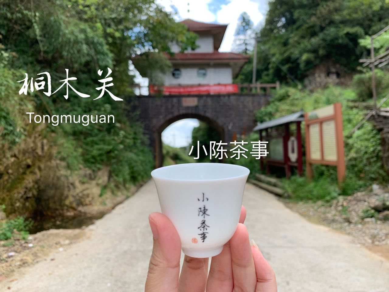 扎心|“冒牌金骏眉”红茶套路深，老茶客亲授5点鉴茶经，看完扎心了