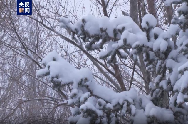 内蒙古通辽市出现大范围降雪