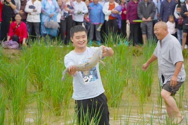  观景|漂流、滑索、摸鱼、赏花、观景、美食——夏天快来新县打卡吧