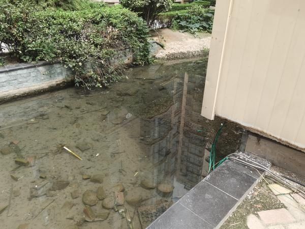  事发现场|8岁男童小区景观池旁触电身亡 事发5天肇事裸露电线还在