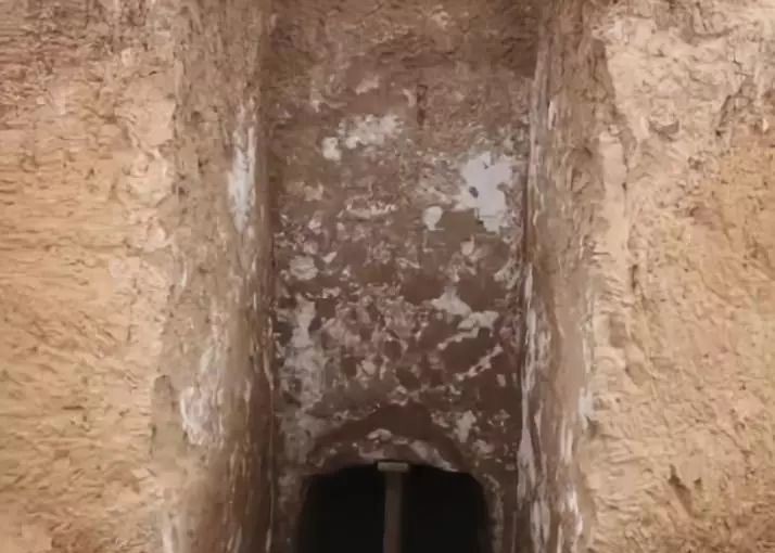 太平公主|太平公主丈夫薛绍墓被发现!网友:想看3d复原薛绍的长相