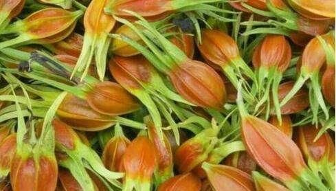 子宫|女人常吃此物,保养卵巢,子宫越来越健康,远离妇科炎症