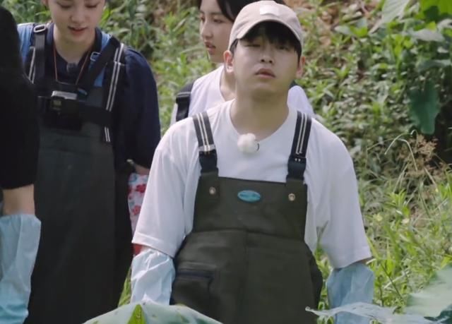  泥里面|《向往的生活》明星下藕池，镜头扫过角落，节目安全防范意识强