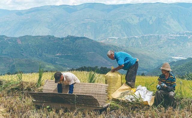 生长|云之南，一个生生不息、万物生长的地方