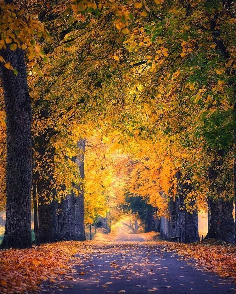  不止|瑞典的美，不止一种颜色！