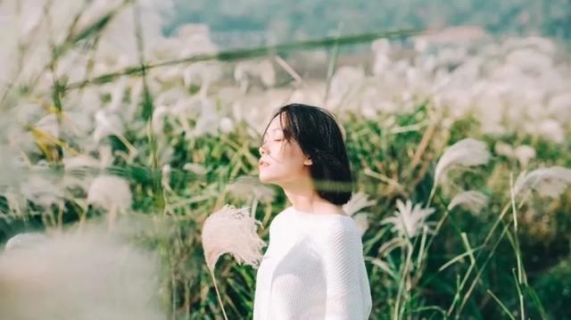  北理工|北理工状元学霸流浪12年：成年人的体面，都是易碎品