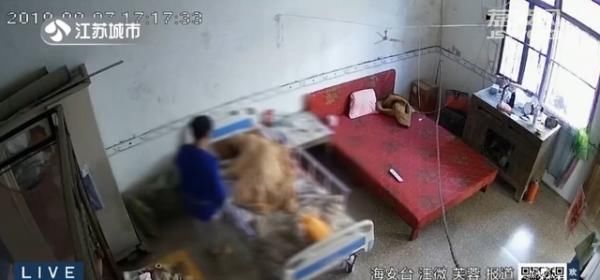 老人|扇耳光、揪耳朵……保姆虐待八旬老人获刑1年,3年内禁止从事看护工作