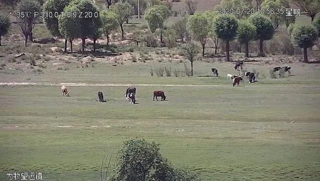  卫星|定位精度2.34米，你拍了拍“北斗卫星，说真是太好用了”