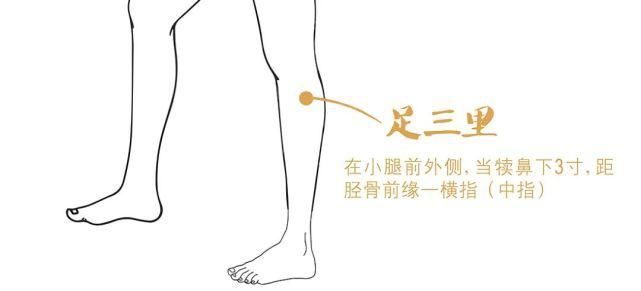 凹陷|汴梁养生|十大常用天然“止痛开关”,帮我们缓解疼痛!