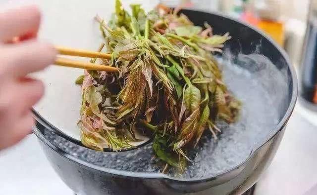  硝酸盐和亚|香椿炒鸡蛋，千万别直接下锅，否则不香嫩异味重，还影响健康