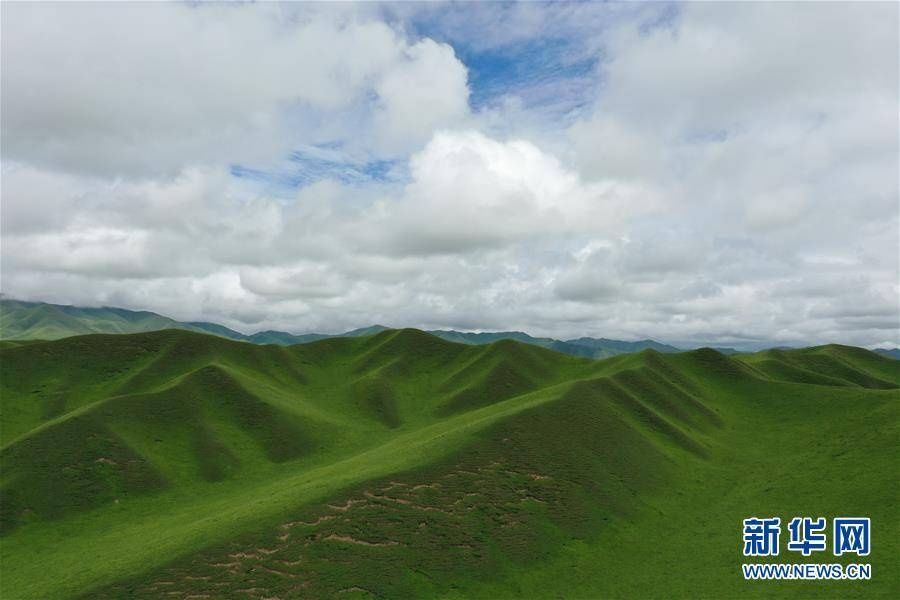 让村民更全面地|扶贫相册——草原女儿卓玛吉 牧民脱贫带头人