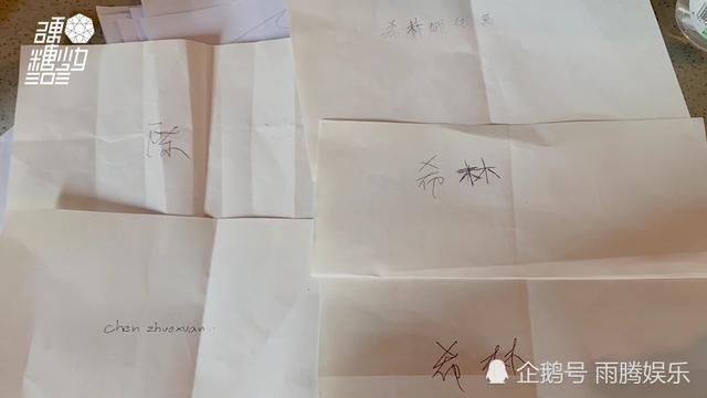  硬糖|硬糖少女队长投票成焦点：赵粤临时变卦引争议，张艺凡力挺陈卓璇