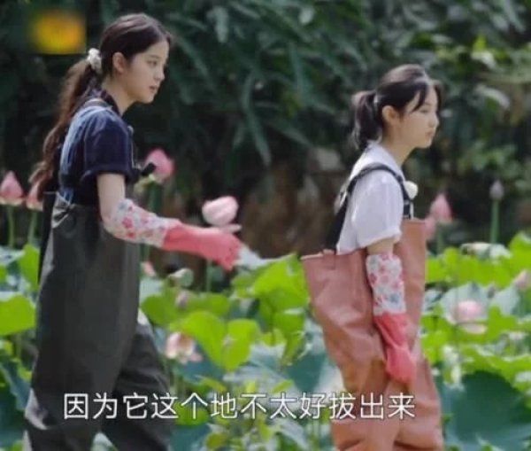  画面|《向往4》嘉宾努力干活，粉丝为爱豆们捏一把汗，我却留心远景画面