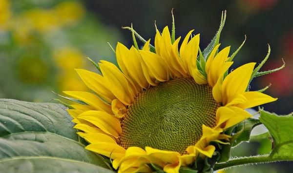 祥兆|身上出现这三个祥兆，说明你要开始走上坡路，赚大钱的机会来了