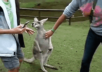 GIF|搞笑GIF:就一招神龙摆尾了!