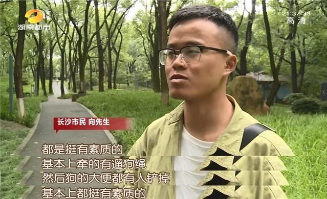 公园|长沙养犬的注意了！延长整治行动两个月，不戴嘴套、遛狗不牵绳…无证养犬直接扣留
