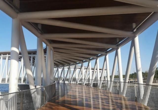  网红|【探索】滴水湖4座“网红”景观桥亮灯啦！快来先睹为快