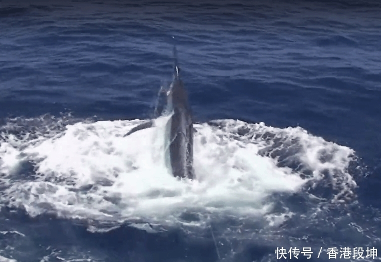 鱼儿|男子海上钓鱼遇到这样危险一幕,半个小时后还惊魂未定!
