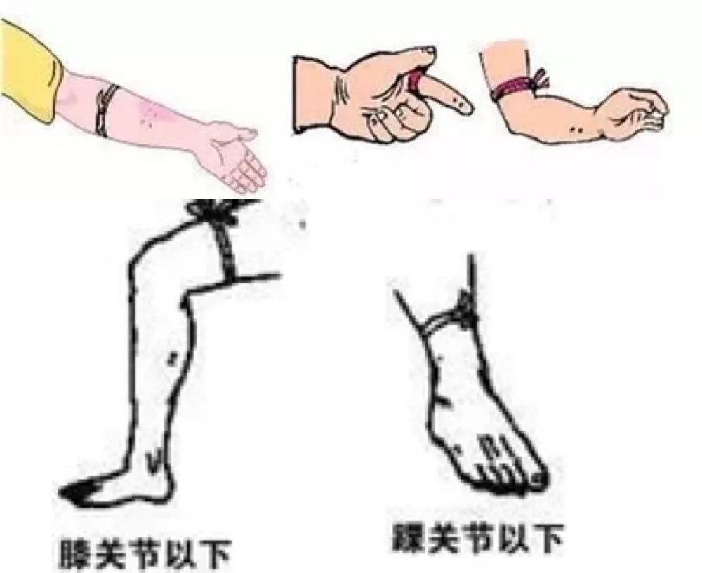  出没|当心！有蛇出没！