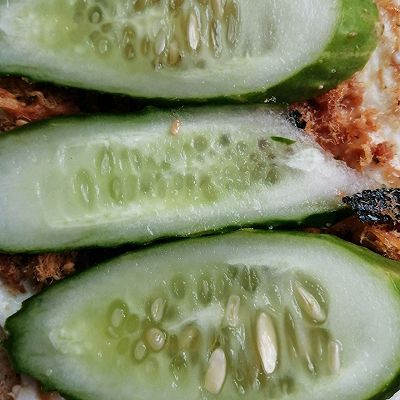  吐司|俪姐早餐之吐司?甜瓜蛋白奶昔