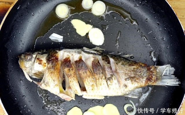 白色|煮鱼汤时,最忌直接加水炖,多加这一步,鱼汤奶白色特别鲜