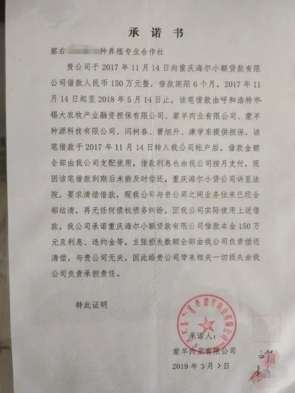 套路|多名农牧民称被蒙羊公司“套路”，“劫持”上亿贷款