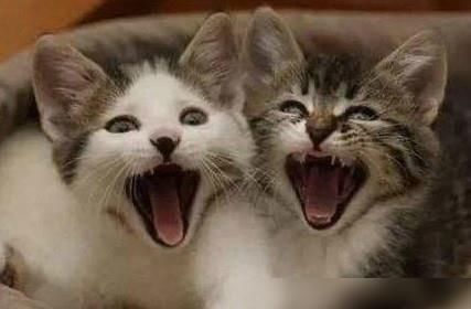  服装|《乘风破浪》二公服装太丑了，姐姐们是怎么同意穿上这些衣服的？