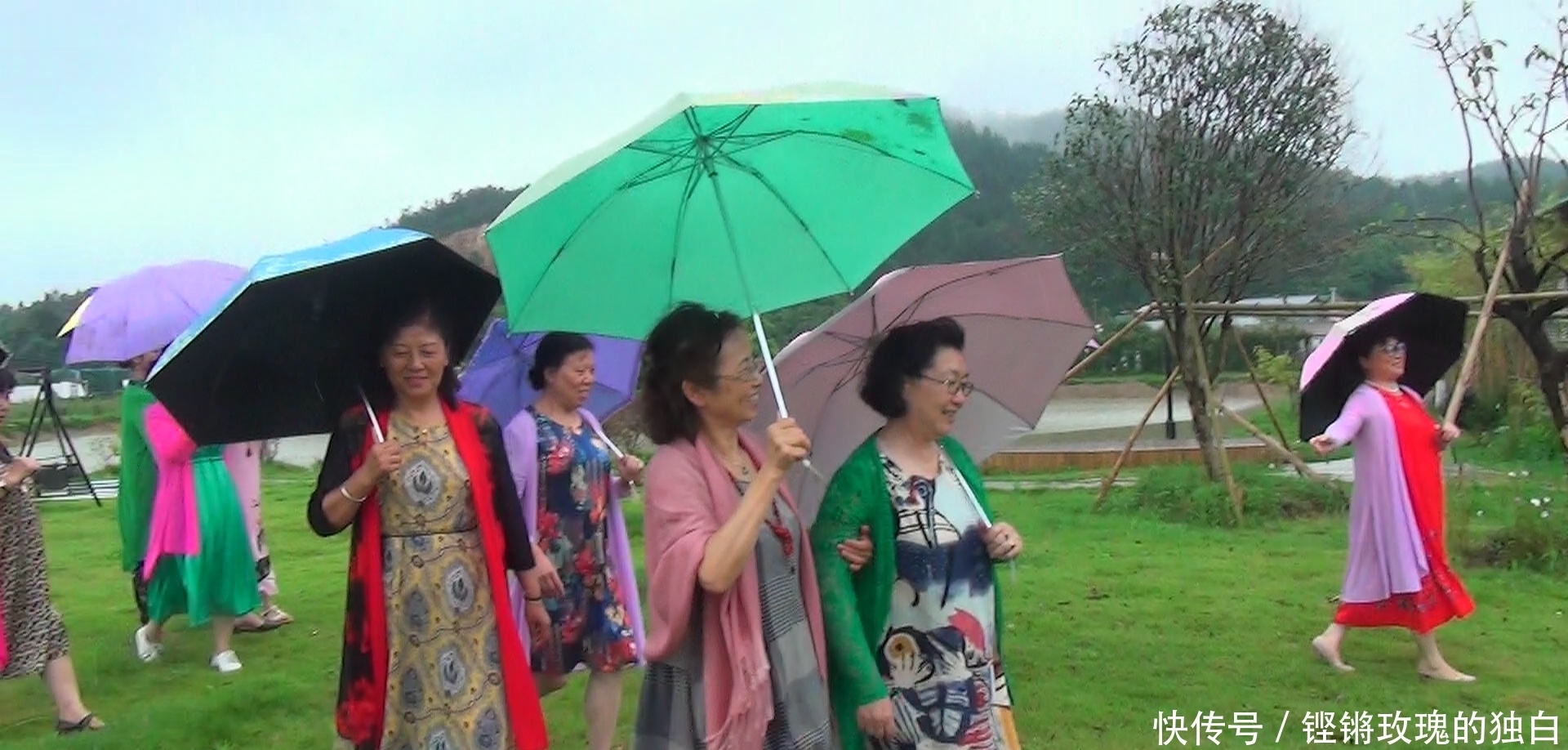 八中|马鞍山八中74届高中女生模特团:南京江宁竹庄生态园雨中走秀(音乐相册)