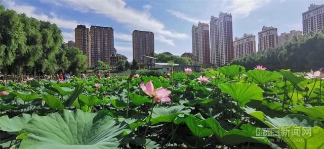 气温|冷空气安排上了！｜3日有中雨，最高气温下滑到“2”字头