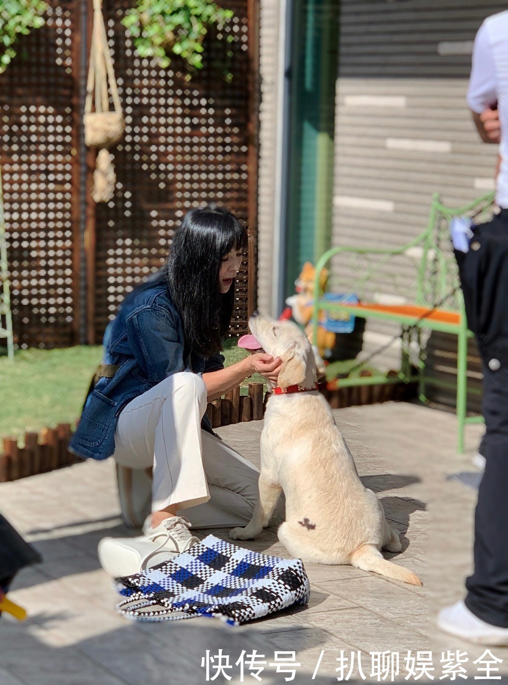  迟暮|美人不迟暮！杨采妮的图集