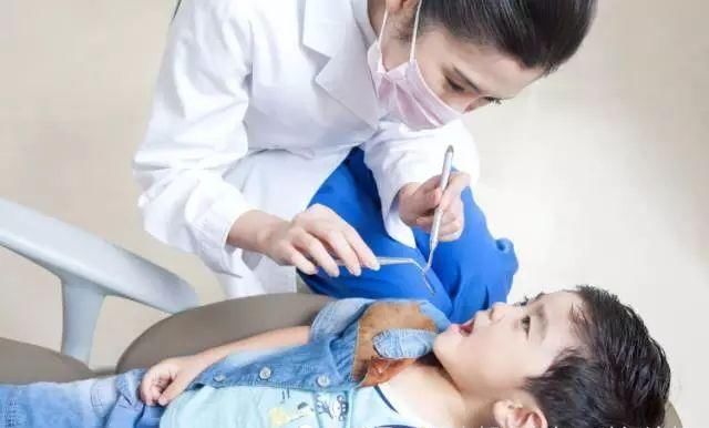  牙上颌|宝宝的牙齿是怎么发育的