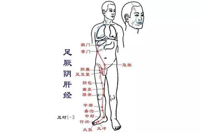  肝脾肾三|肝经锻炼七法，强肝护肝真“肝”净