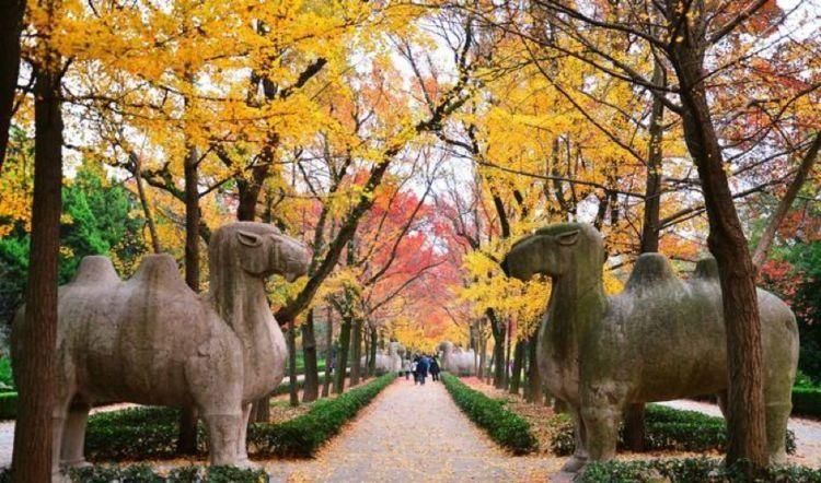  朱家|朱元璋称帝后，从小与他同甘共苦的二哥朱重六，最后结局如何？